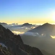 一条の画像