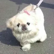 のるぞう