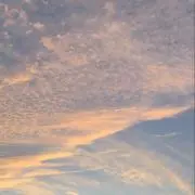 そーの画像