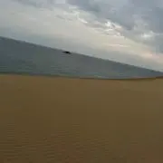 コキン