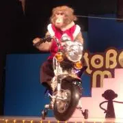 りり♡の画像