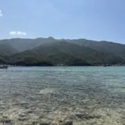 ぽん