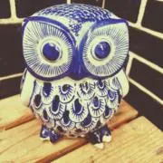 蝦夷★即購入OKの画像