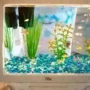 mintmacの画像