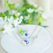 Koaの画像
