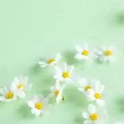 cocoの画像