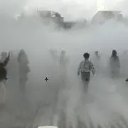 パルパルの画像