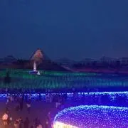 タイラーの画像