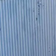 さけ