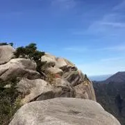 わんげるの画像