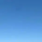 山田の画像