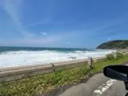 とうもろこしの画像