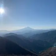 tsicuの画像