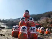 ebi_【在庫整理】の画像