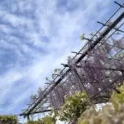 E-sanの画像