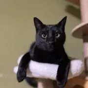 どんぴの画像