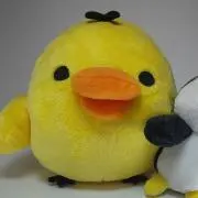 ゆんの画像
