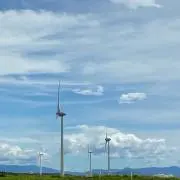 yuniの画像
