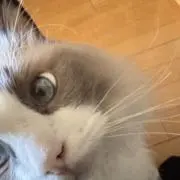 はるさんの画像