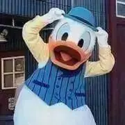 くらげの画像