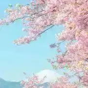 Satoの画像