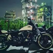 ting6767の画像