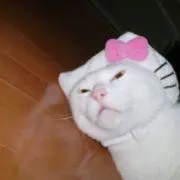 noname
