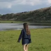 さつまいもの画像