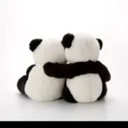 ラピオ