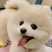 ビビ