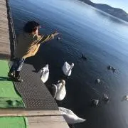 じょれ