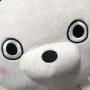 みさきの画像