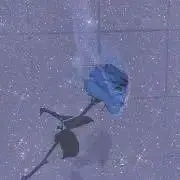 めかぶ☺︎プロフ必読