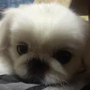 プロフ読んで下さい〜嗣巳
