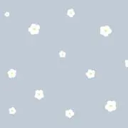 nichiの画像