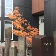 ぐっさん