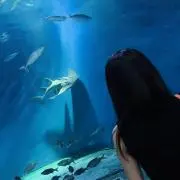 るいら　⭐︎即購入大歓迎⭐︎の画像