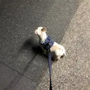 もか。