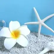 monaの画像