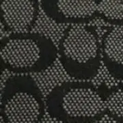 ぽぽの画像