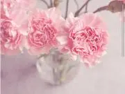 もんの画像