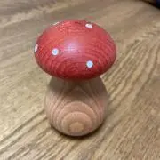 きのこの画像