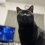 Sanpoの画像