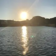 nobuの画像