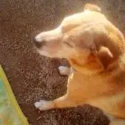 yuminの画像