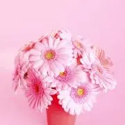蜜柑⑅◡̈*の画像