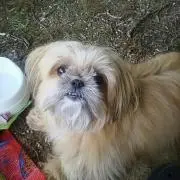 こむぎ☆プロフィール確認必ずね(^^