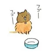 とび@お値下げ不可ですの画像