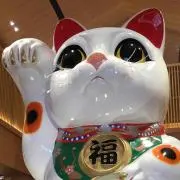 ガ━(ŎдŎ；)━ンの画像