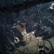 ユリの画像